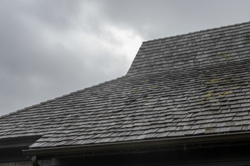 Cedar Shingles Replacement in Auburn, MA